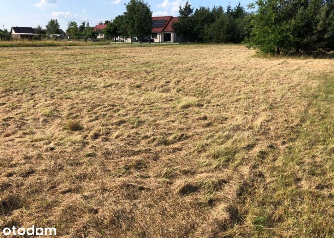 Działka Nowy Dwór, koło Jelcza Laskowic 15,5ar lub 2x7,8ar - Pełny obrazek: 3/6