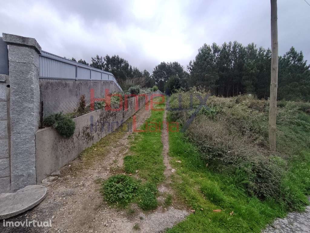 Terreno em Castro Daire - Grande imagem: 5/13