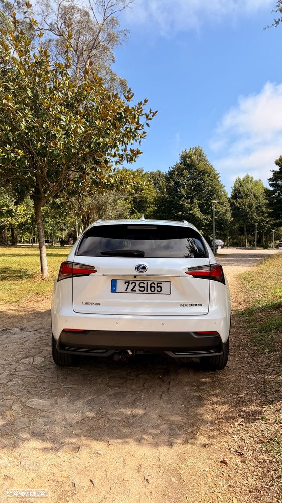 Lexus NX 300h F Sport 4WD - 6