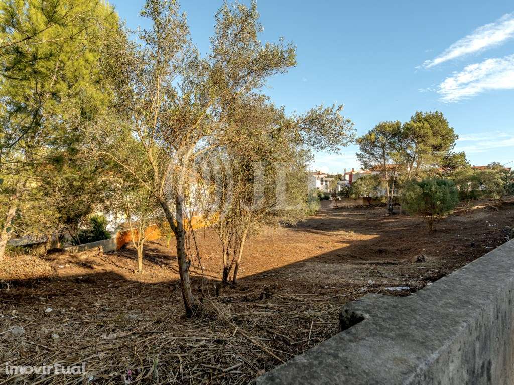 Terreno com PIP aprovado, em Birre, Cascais - Grande imagem: 4/27