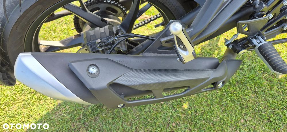 Benelli Leoncino - 9