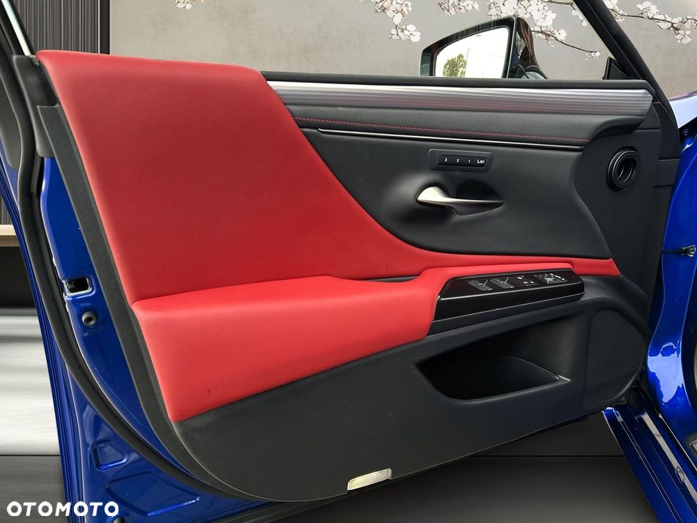 Lexus ES 300h F Sport Edition - 20