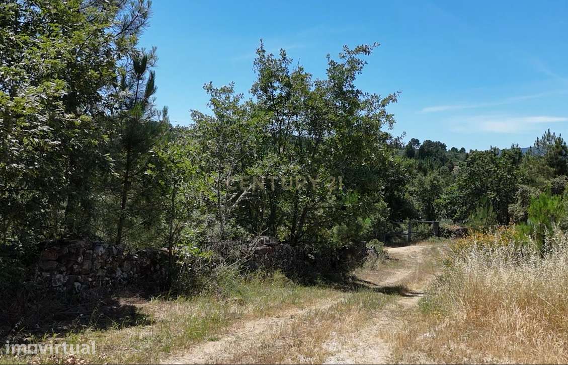 Terreno de 12 hectares, perto da Estrada N2, a 5km da cidade de Chaves - Grande imagem: 2/8