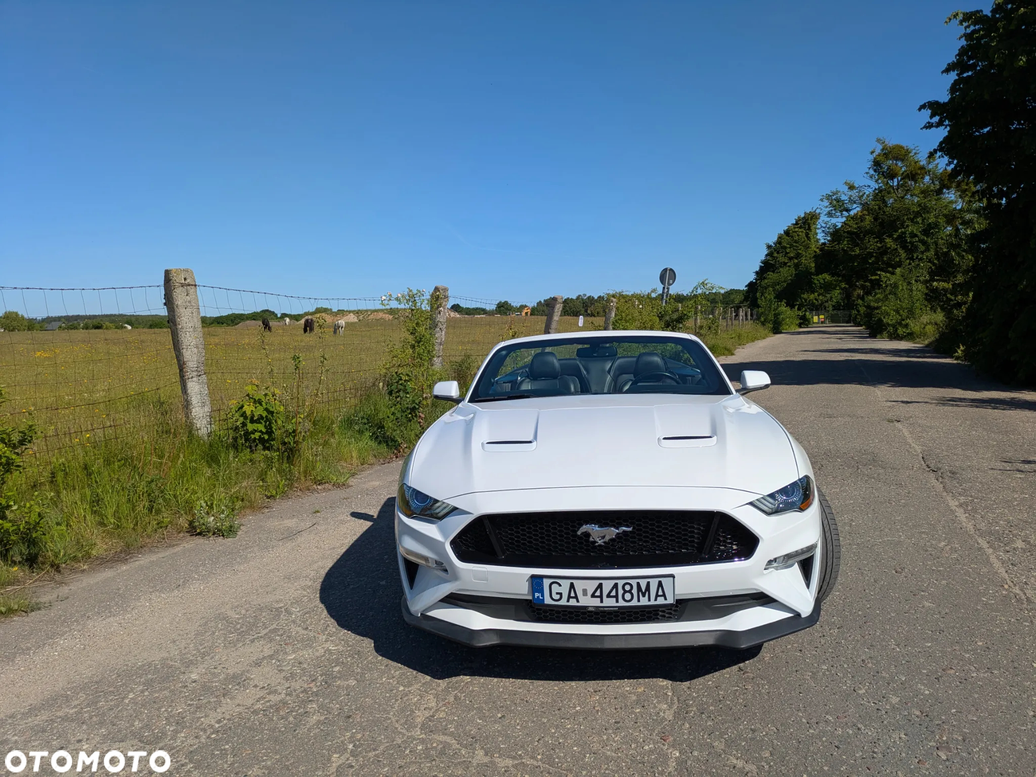 Ford Mustang 2.3 EcoBoost - 33