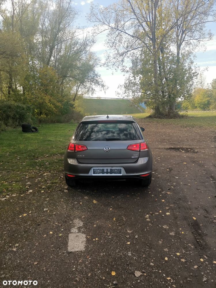 Volkswagen Golf - 29