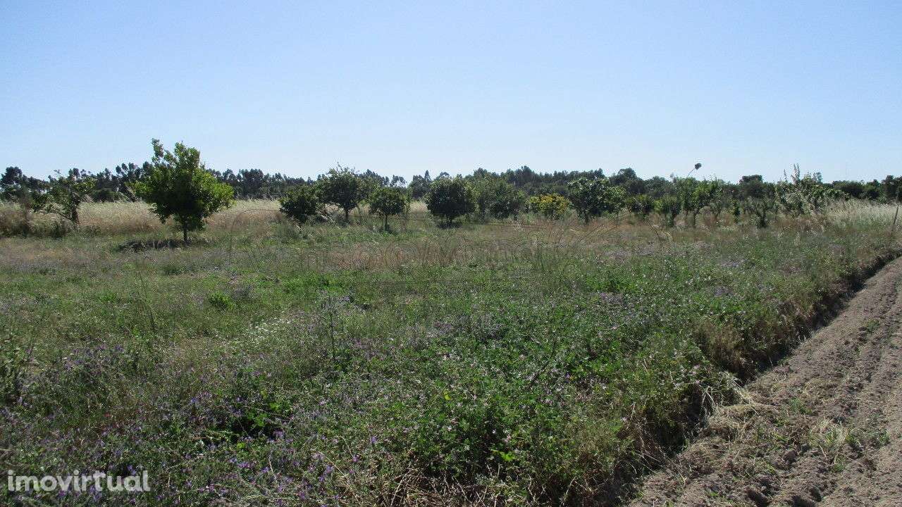 Terreno no Granho  (G033) - Grande imagem: 4/5