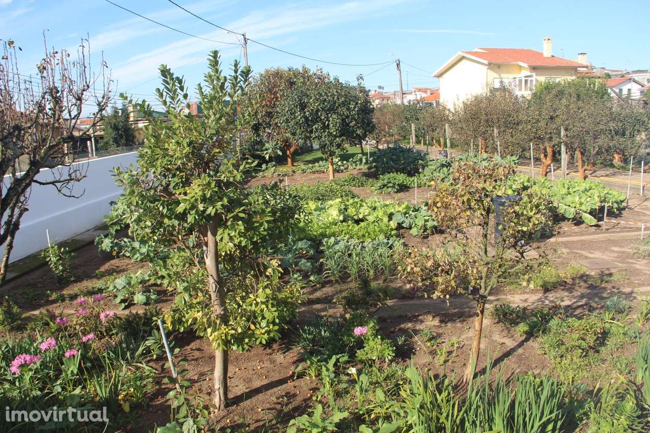 Moradia 4 Frentes lote com 980m2 - Grande imagem: 5/60