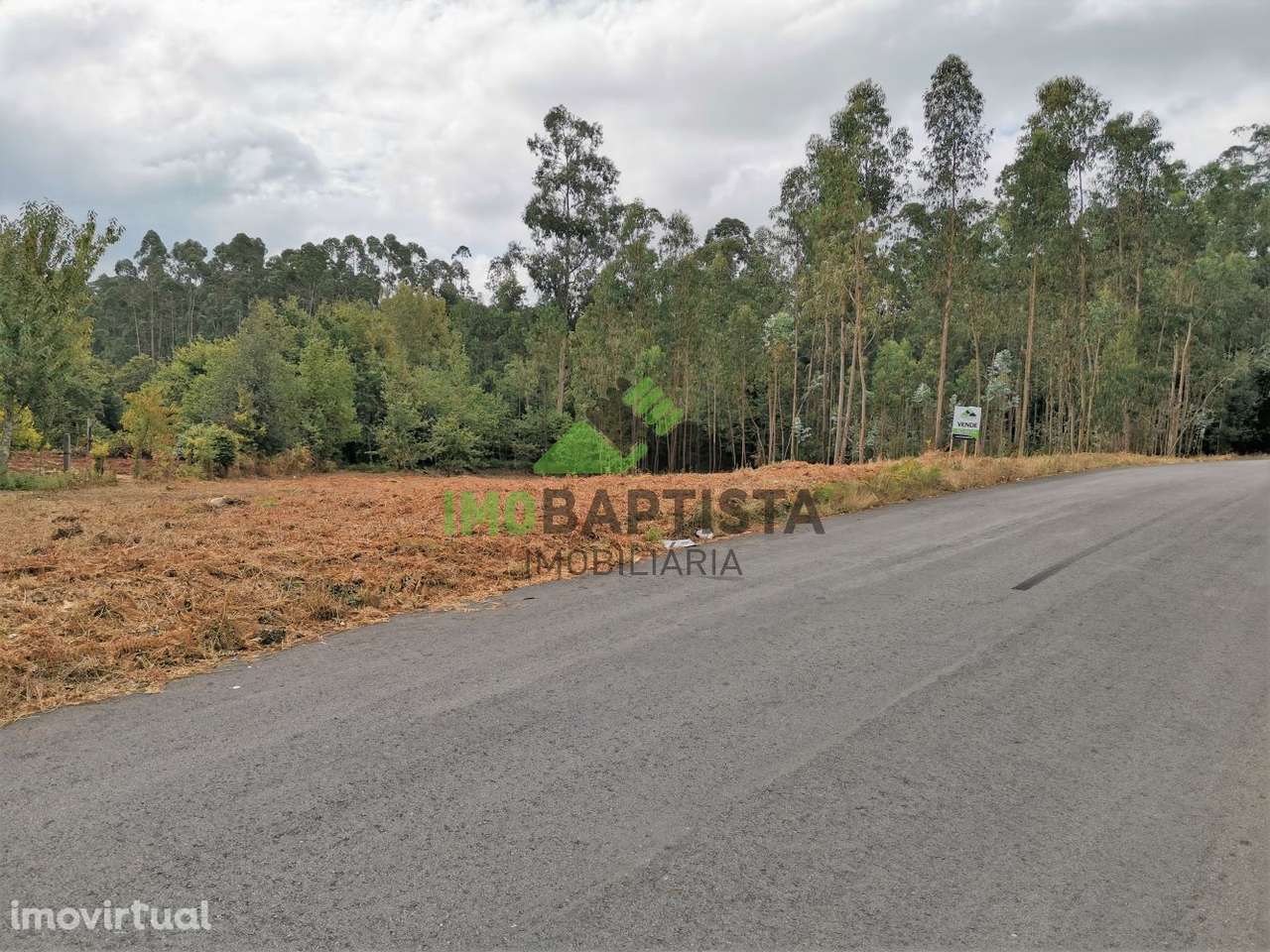 Terreno p/construção em Lobão - Grande imagem: 3/12