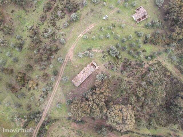 Herdade 60ha em Grândola — PIP de 2021 (actualmente caducado) para con - Grande imagem: 4/13