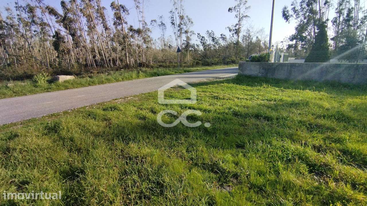 Terreno para construção. - Grande imagem: 3/10