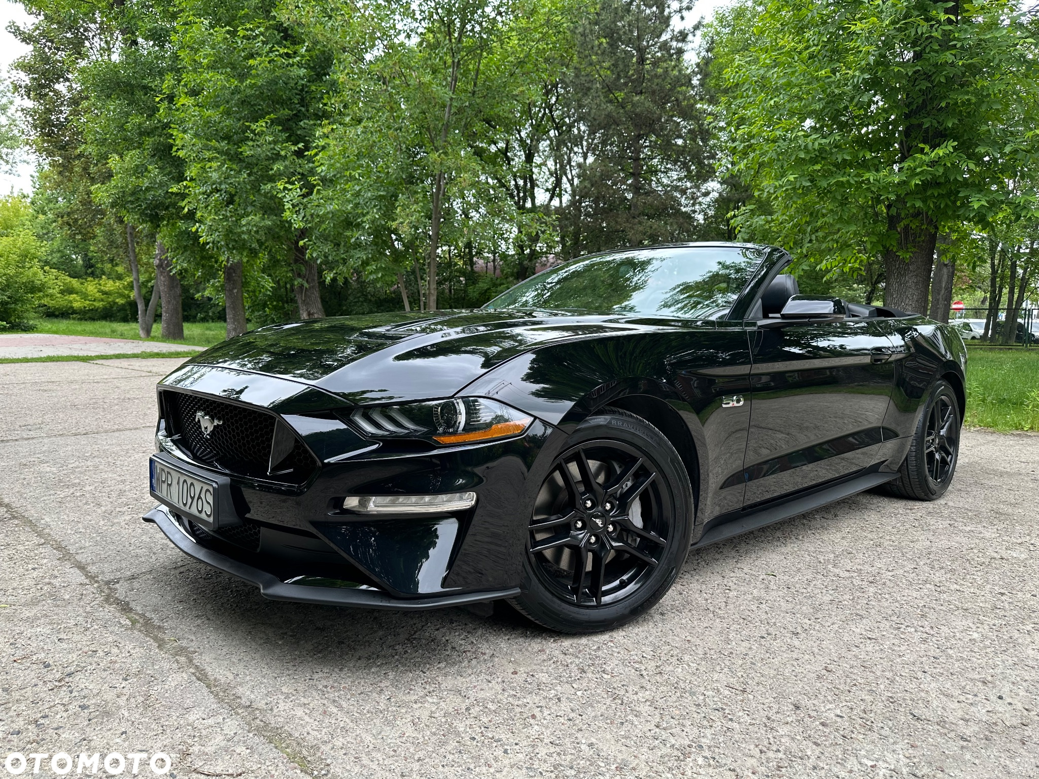 Ford Mustang Fastback 5.0 Ti-VCT V8 MACH1 - 5