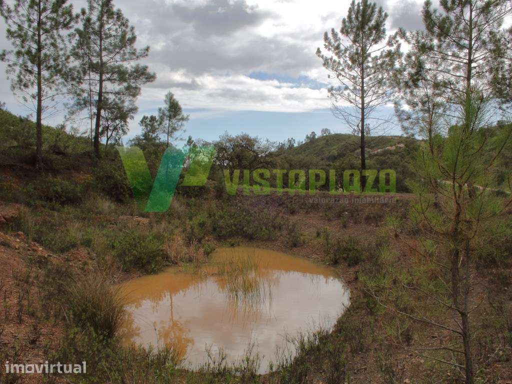 Terreno Rústico Com Água e Energia Elétrica, Mexilhoeira Grande Por... - Grande imagem: 3/15