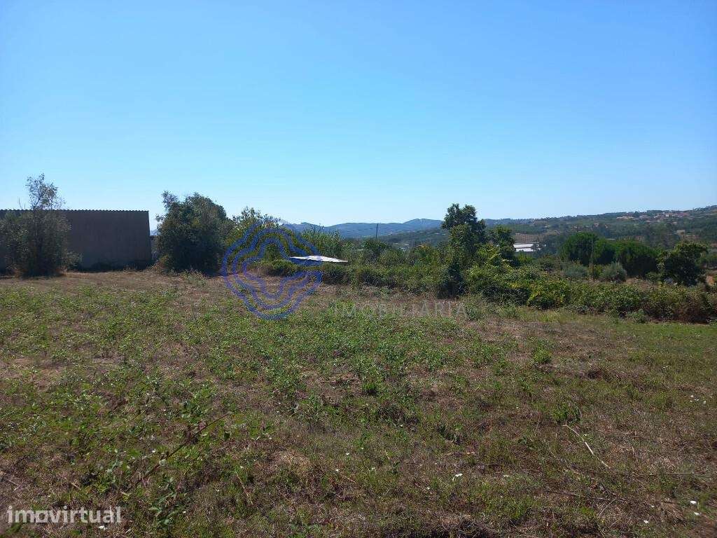 Terreno agrícola com 4.280 m2 a 5 minutos da Aldeia de Dornes, centro - Grande imagem: 2/21