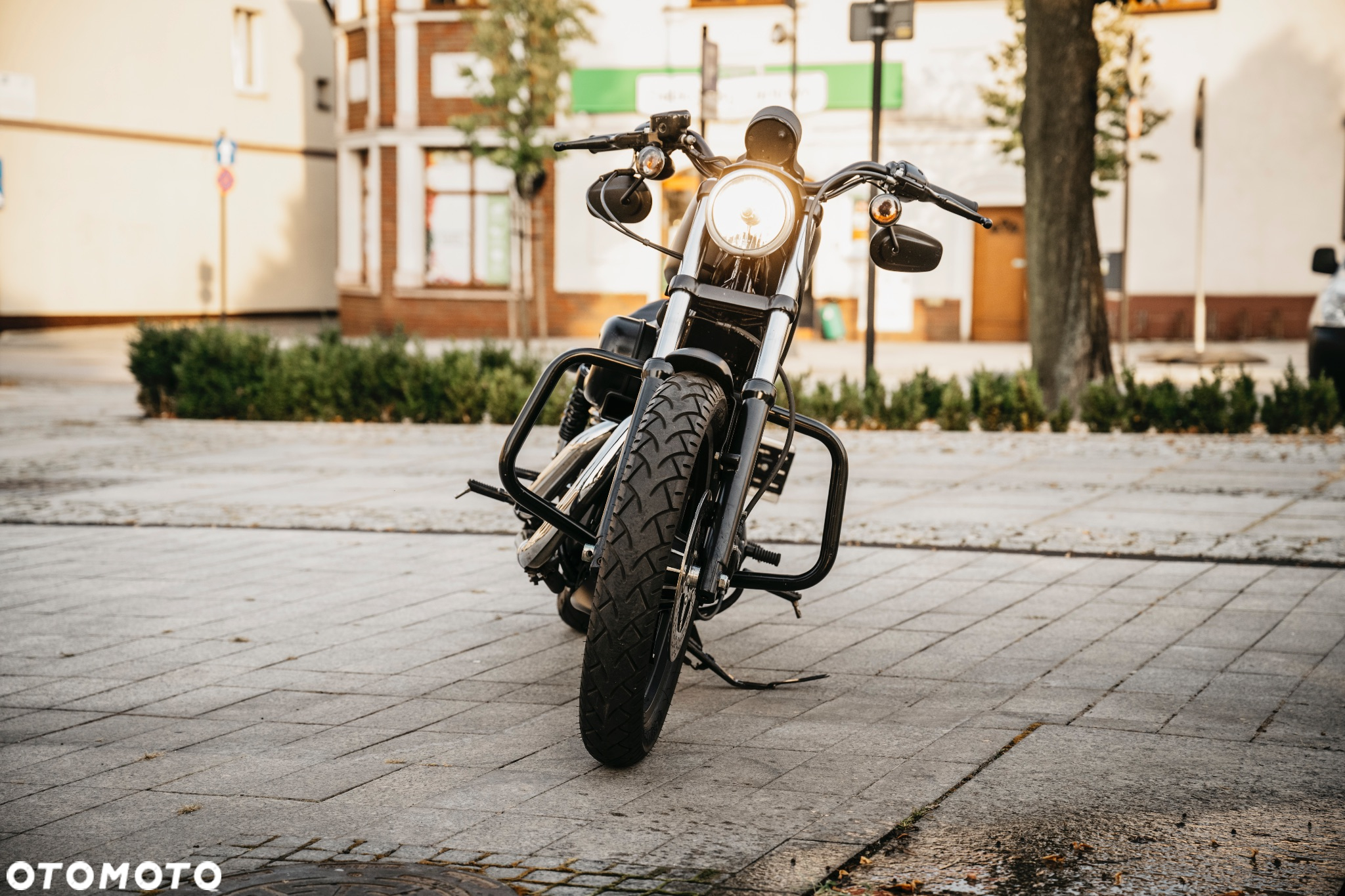 Harley-Davidson Sportster Iron 883 - 9