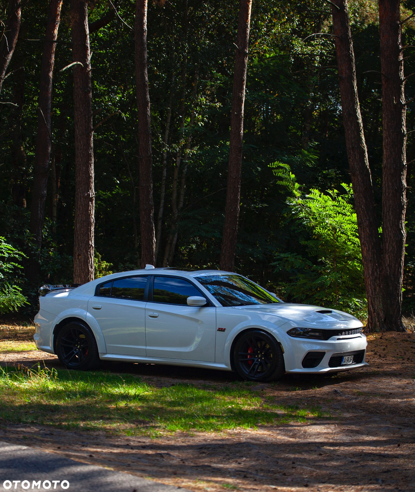 Dodge Charger 6.4 Scat Pack Widebody - 31