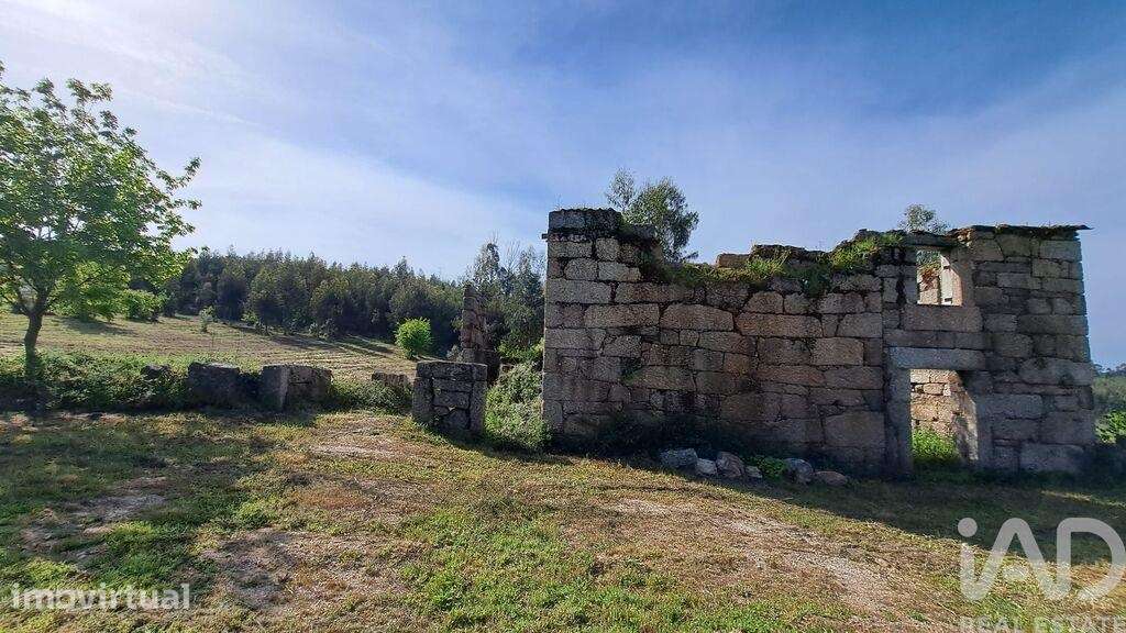 Quinta rural em Lagos da Beira e Lajeosa de 70 m2 - Grande imagem: 5/19
