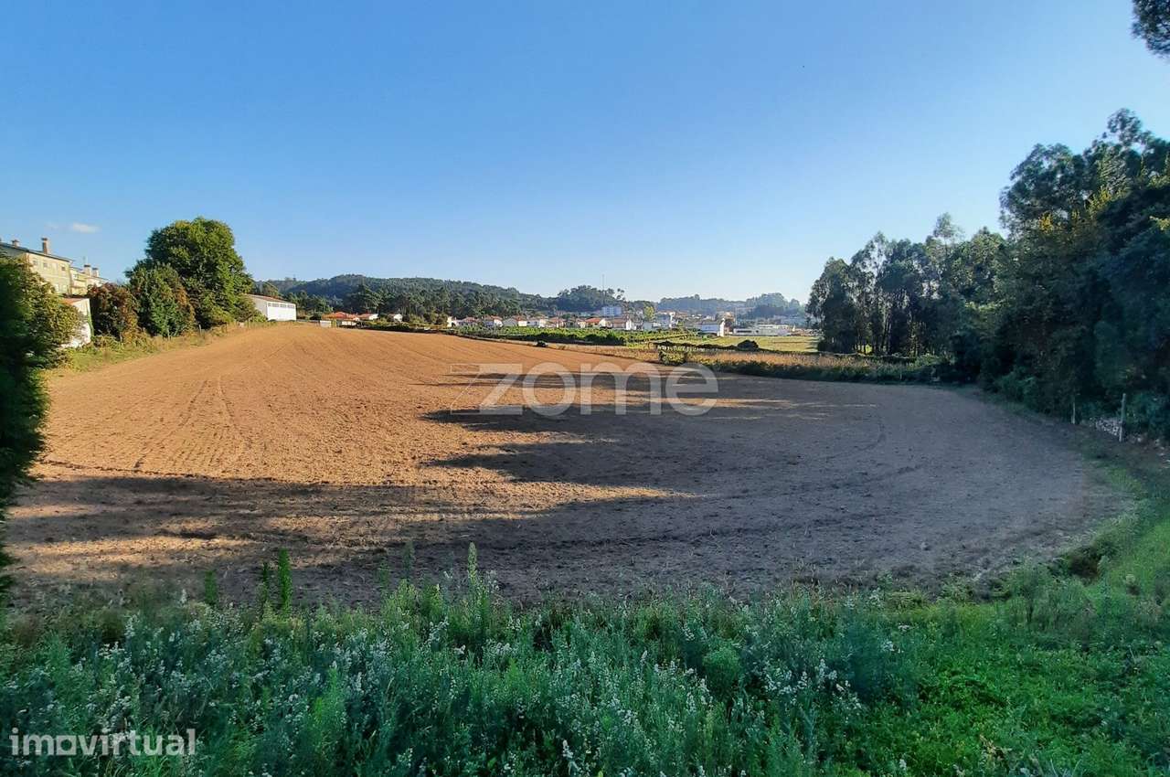 TERRENO PARA INVESTIMENTO - ALVARELHOS, TROFA - Grande imagem: 2/15