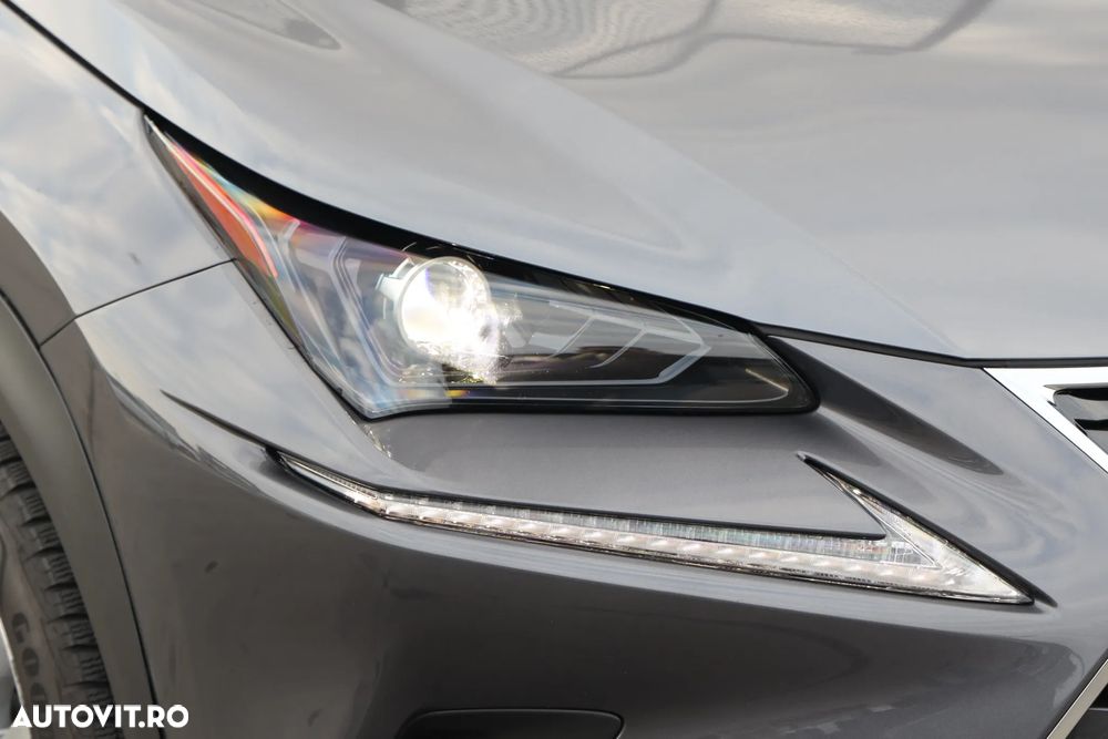 Lexus Seria NX 300h AWD Executive Plus - 14