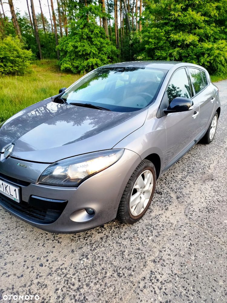 Renault Megane 1.6 16V Color Edition - 11