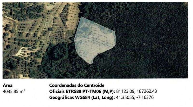 4 terrenos agrícolas - Grande imagem: 4/4