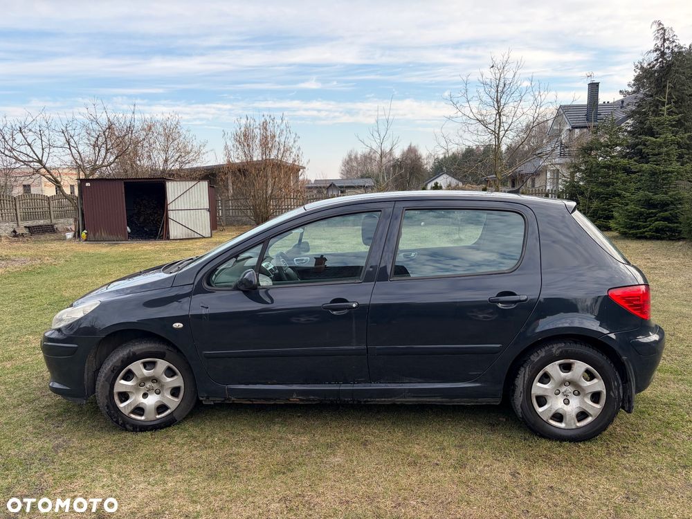 Peugeot 307 - 3