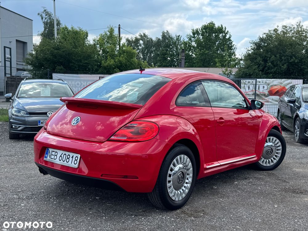 Volkswagen Beetle - 10