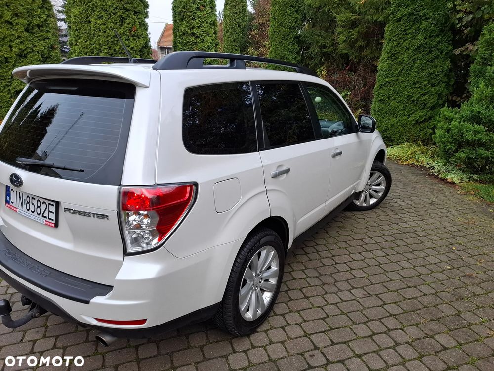 Subaru Forester - 7