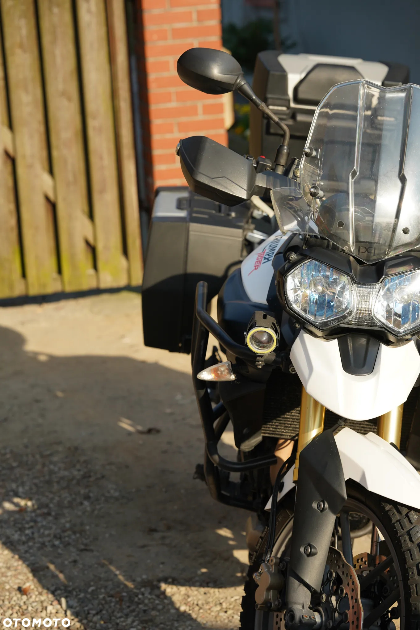 Triumph Tiger - 28
