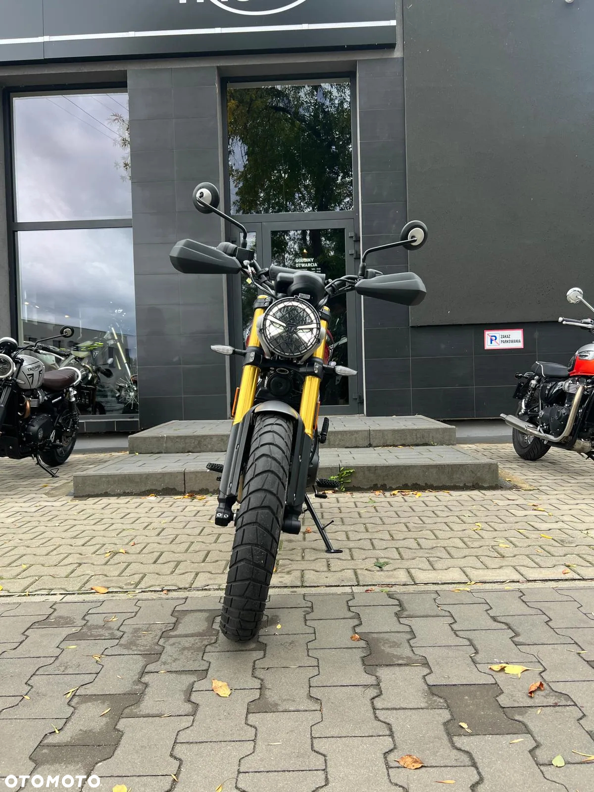Triumph Scrambler - 4