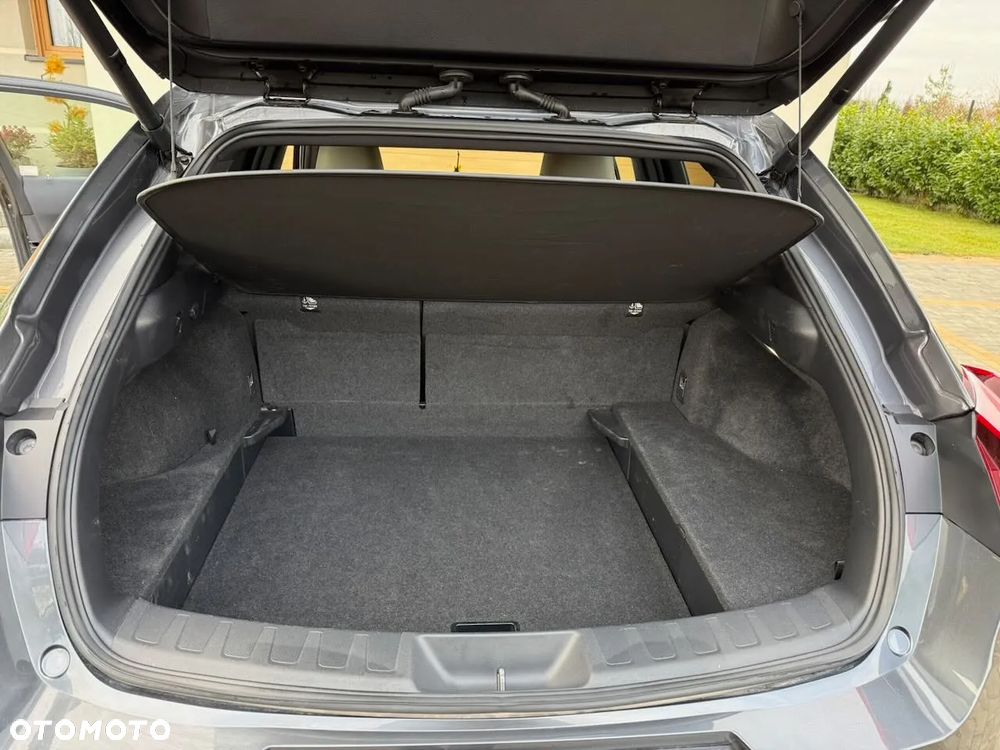 Lexus UX 250h GPF F Sport Design 2WD - 17