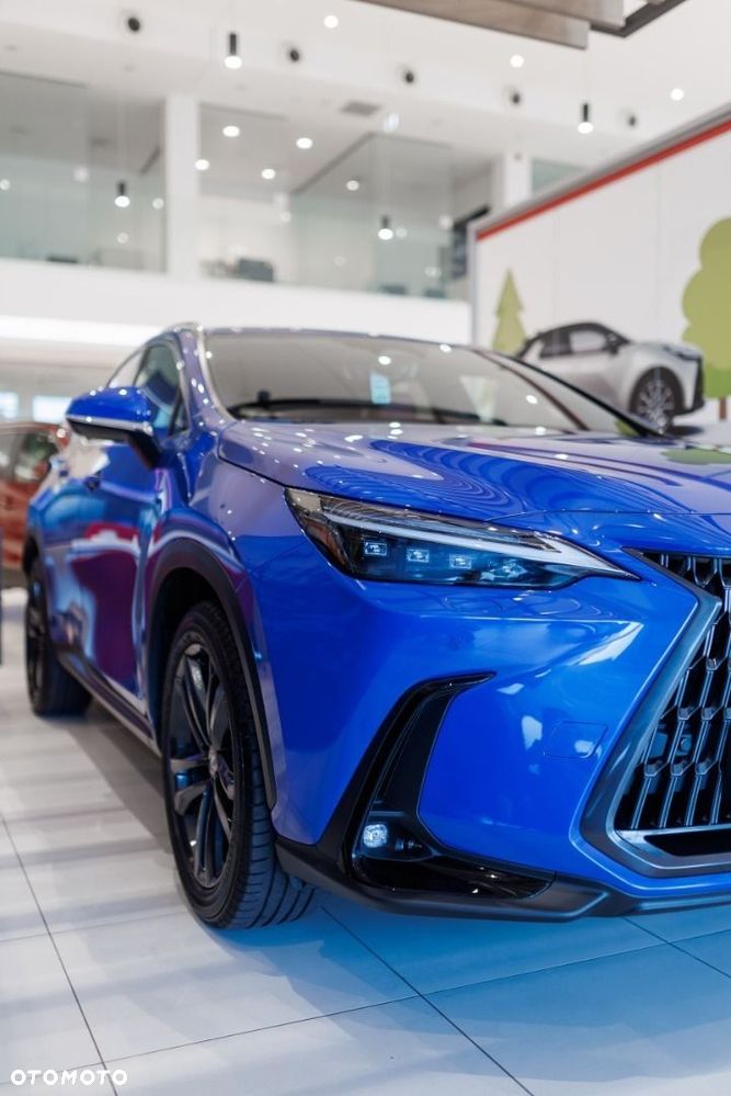 Lexus NX - 13