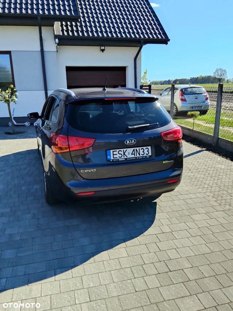 Kia Ceed 1.6 CRDi 128 Dream Team Edition - 14