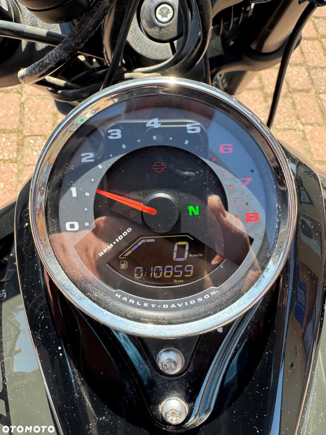 Harley-Davidson Dyna Fat Bob - 5