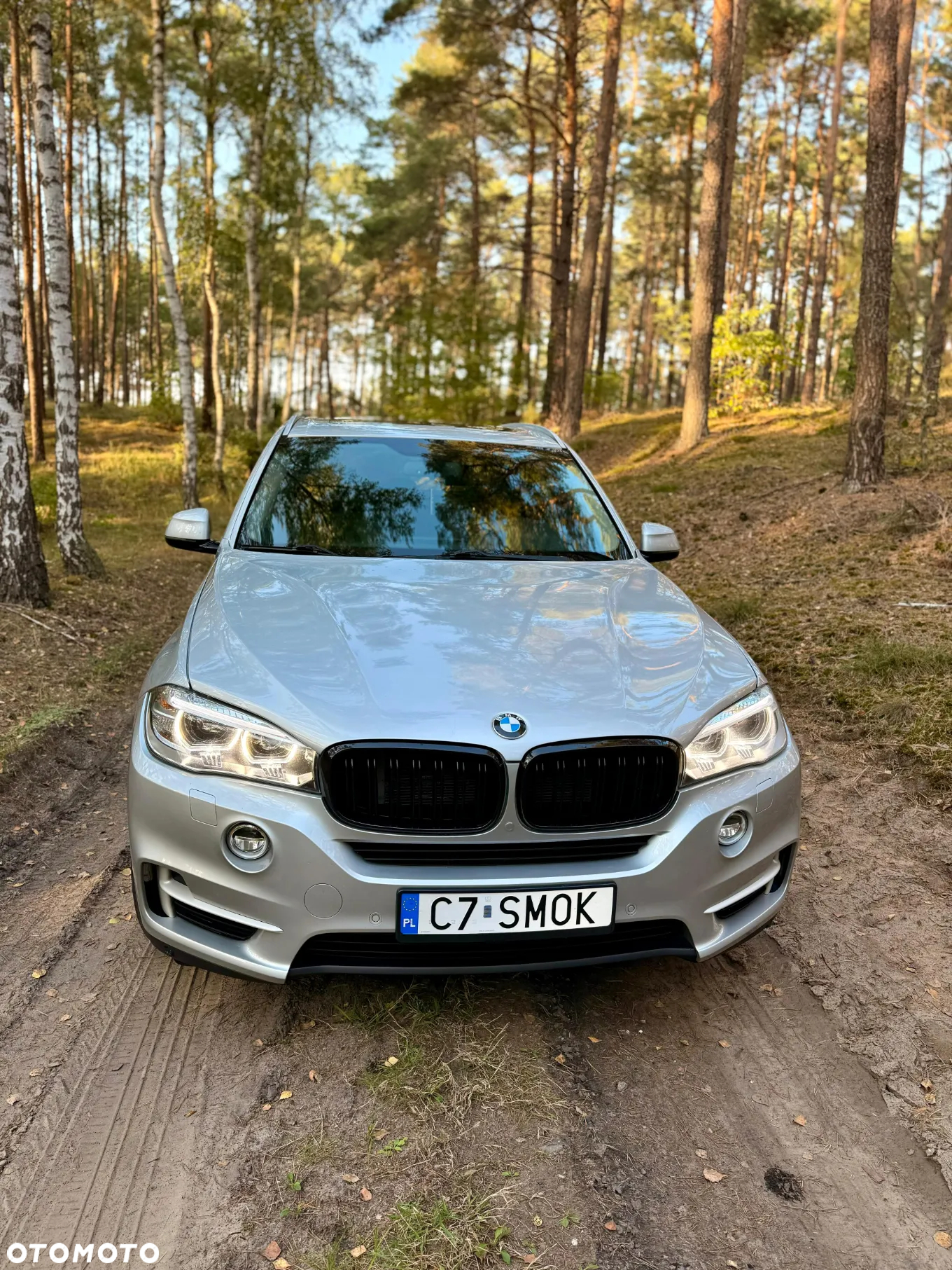 BMW X5 xDrive50i - 14