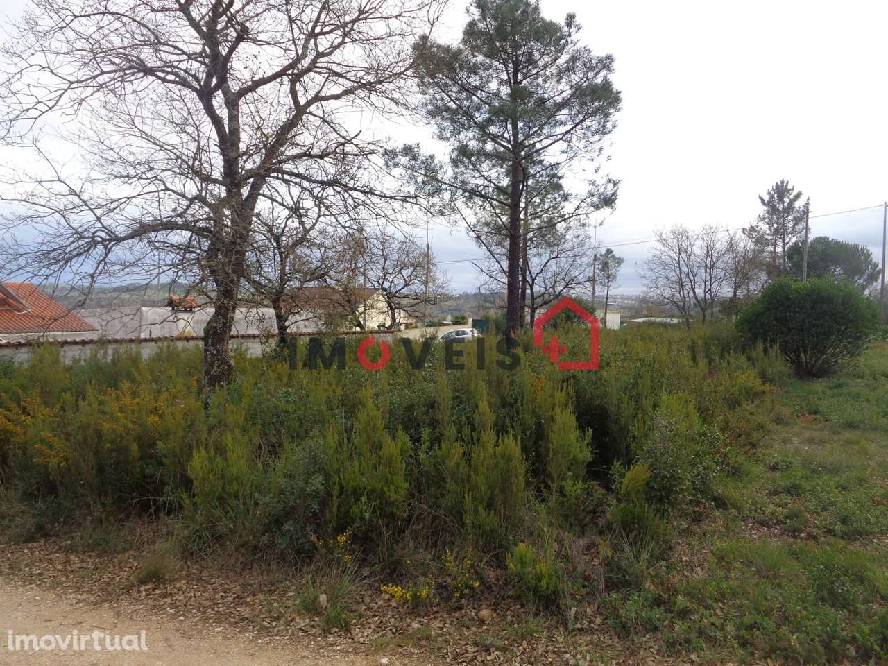 Lote Terreno - Grande imagem: 2/4