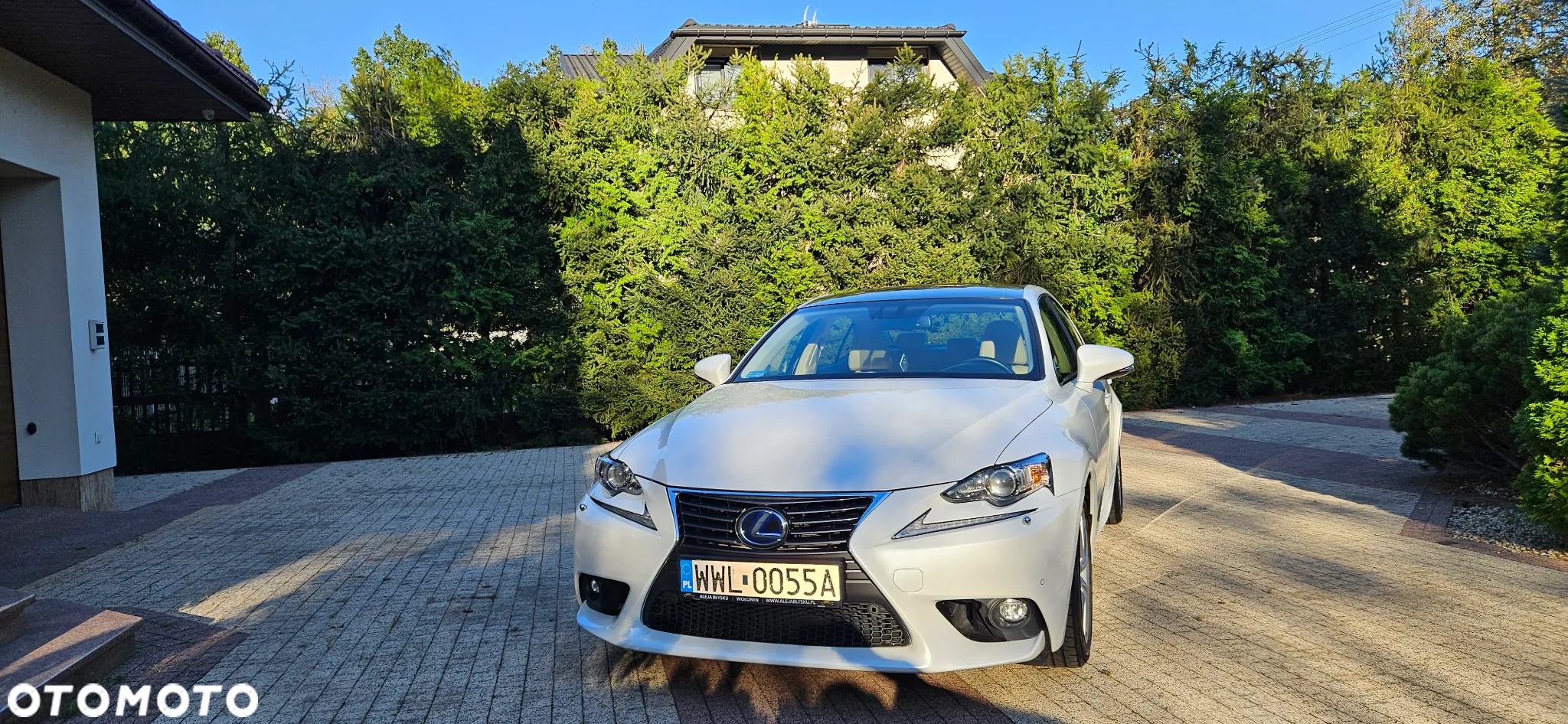 Lexus IS ver-300h-elegance - 6
