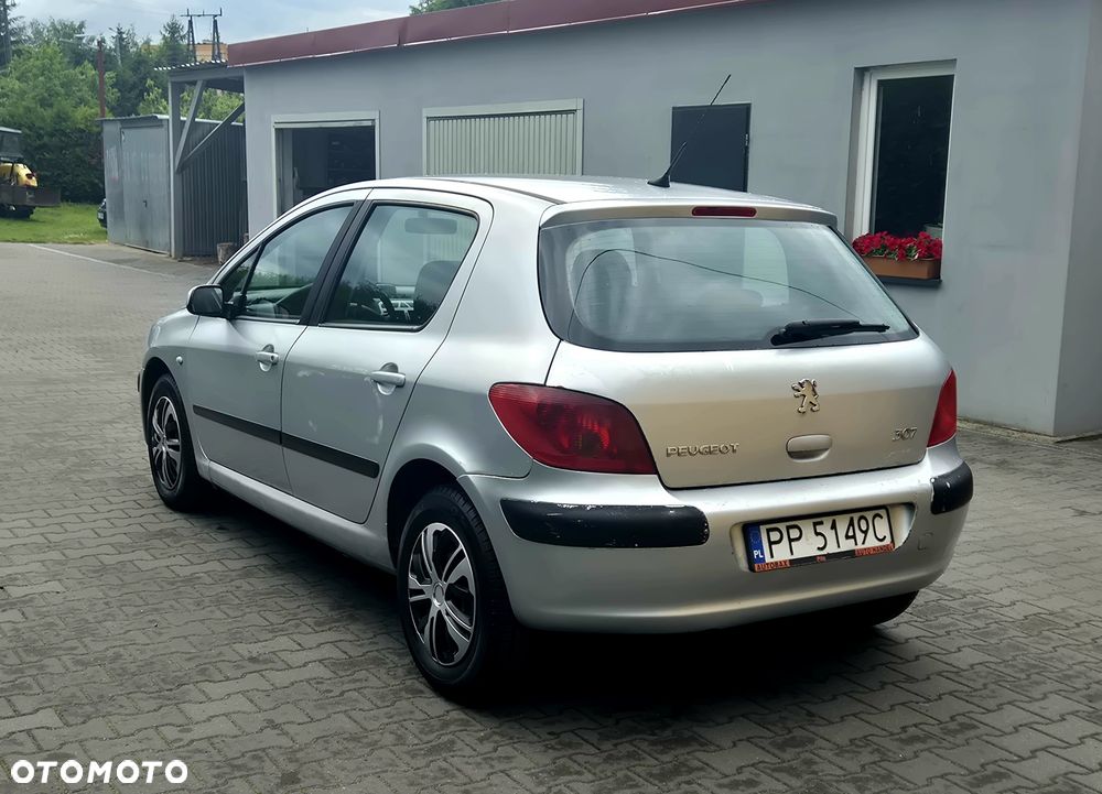 Peugeot 307 - 4