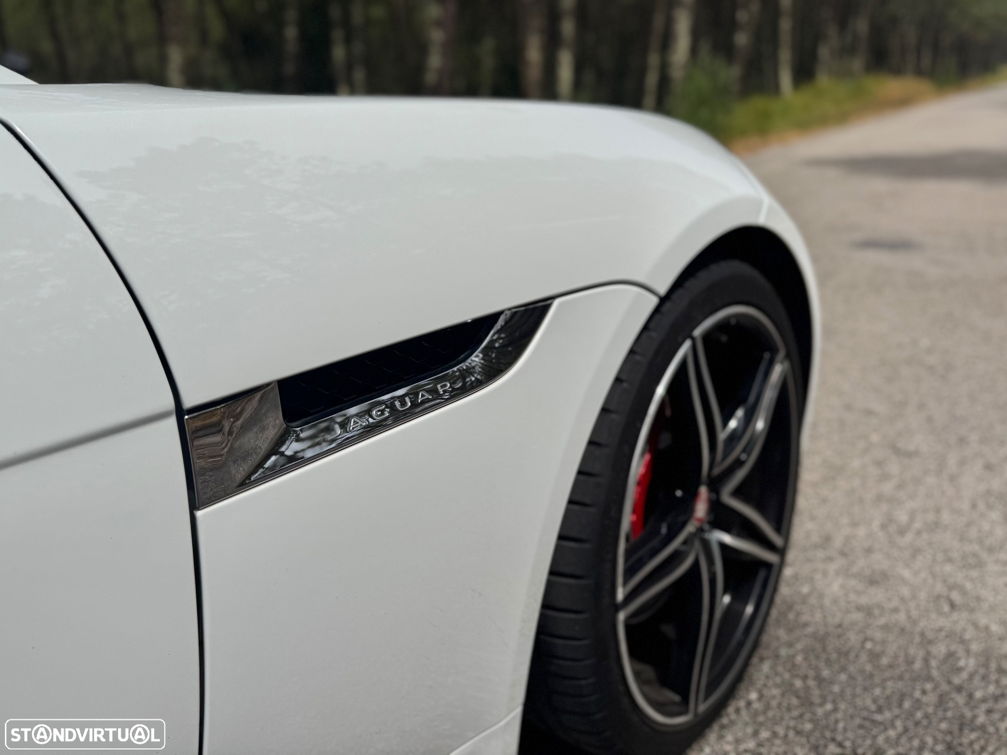Jaguar F-Type Cabriolet P300 Aut. First Edition - 23