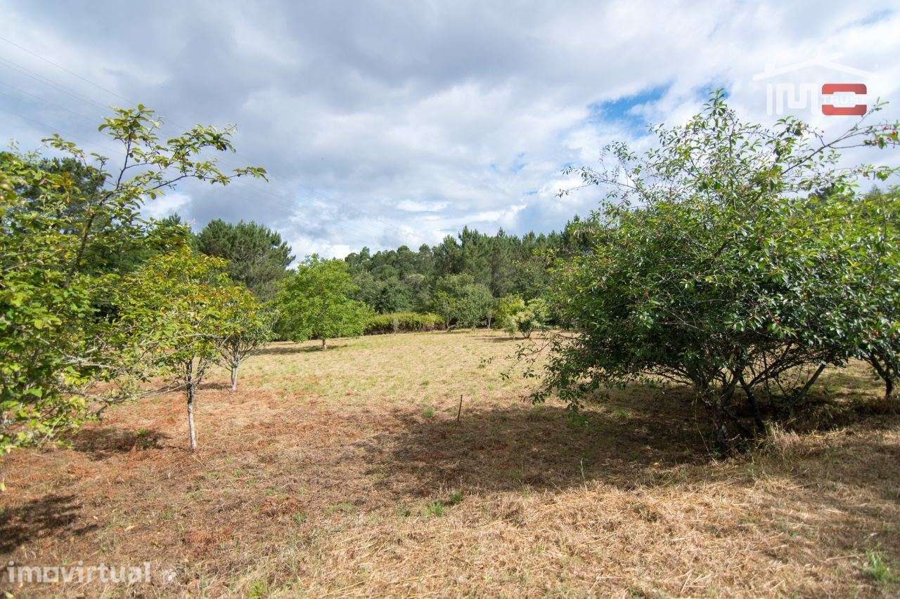 TERRENO COM ÁREA DE 3800 M2. MUITO BOA LOCALIZAÇÃO EM CASAIS DE S.M... - Grande imagem: 4/12