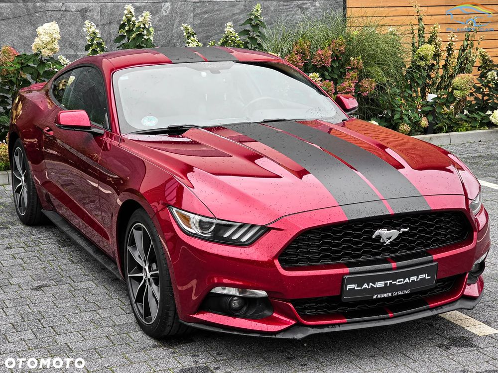 Ford Mustang - 9
