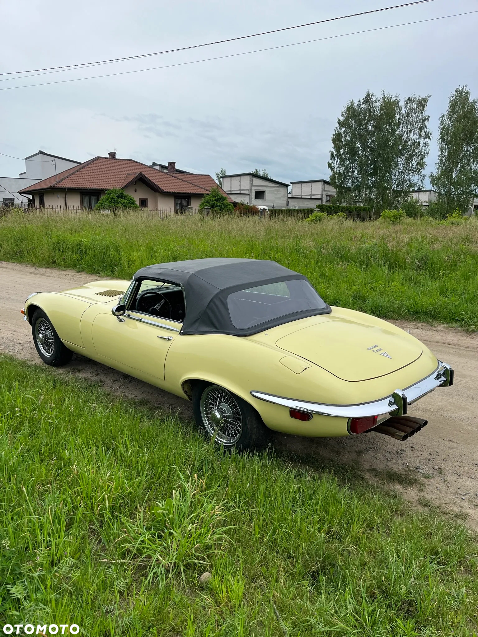 Jaguar E-Type - 33