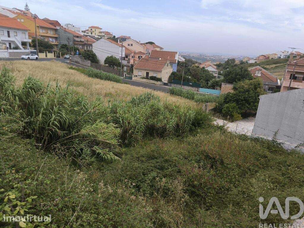 Terreno para construção em Casal de Cambra - Grande imagem: 4/28
