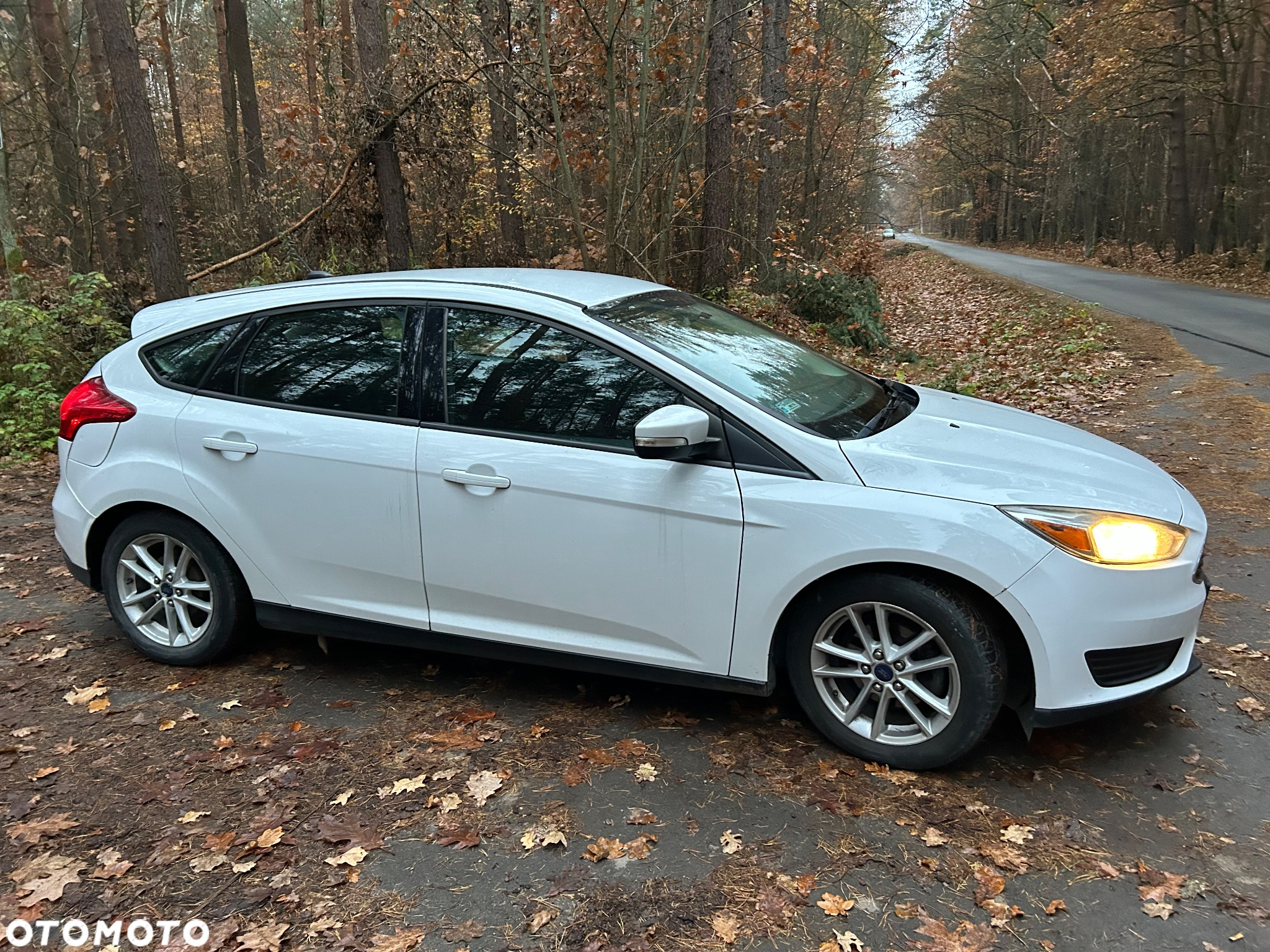 Ford Focus - 3