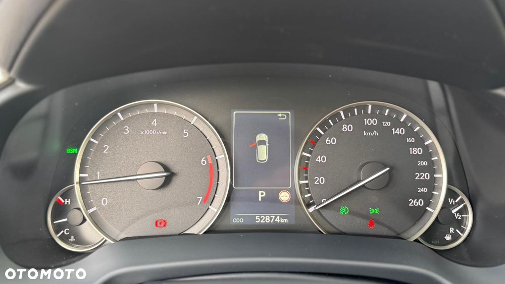 Lexus RX 300 Business Edition + - 13