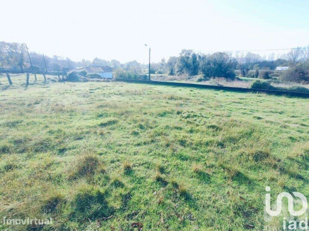 Terreno para construção em Valença, Cristelo Covo e Arão - Grande imagem: 3/7
