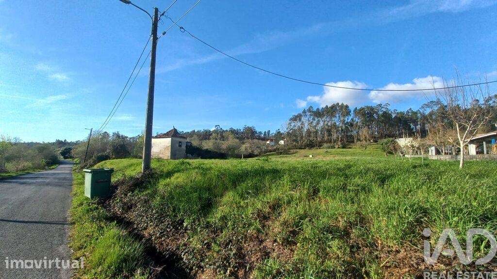 Casa de Campo em Santiago e São Simão de Litém e Albergaria dos Doze d - Grande imagem: 4/26