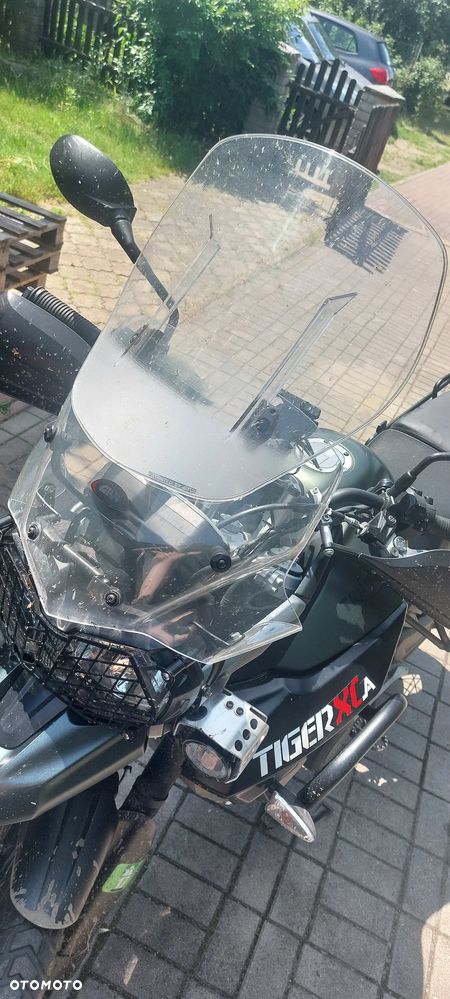 Triumph Tiger - 5