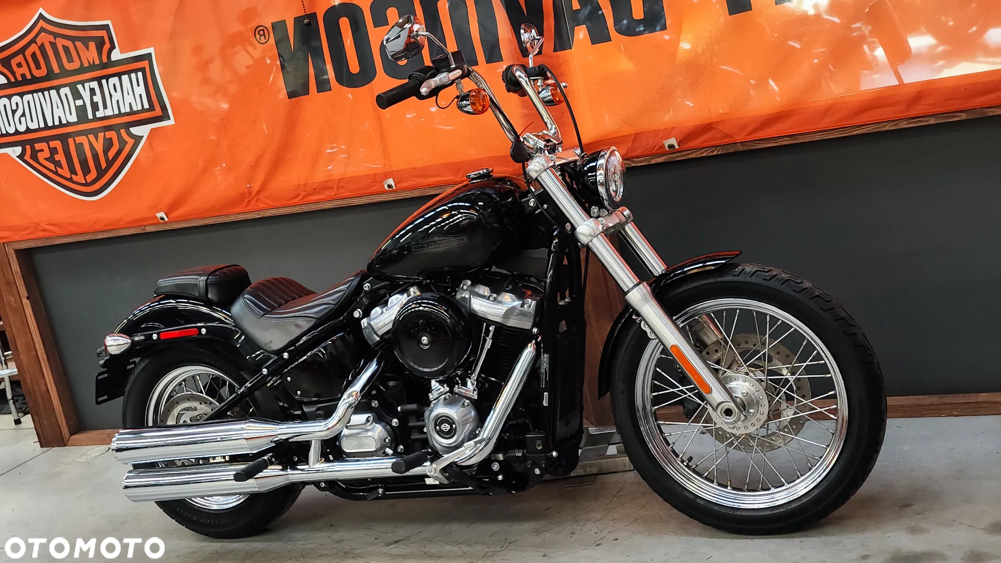 Harley-Davidson Softail Standard - 2