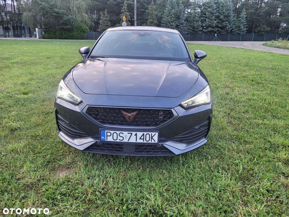 Cupra Leon 1.5 eTSI DSG Tribe Edition - 15