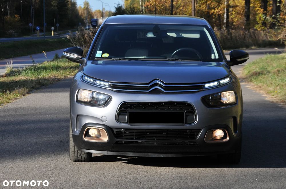 Citroen C4 Cactus 2019 photo 4